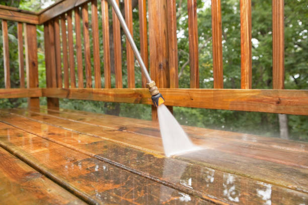 Best Fence Cleaning  in Bristol, FL